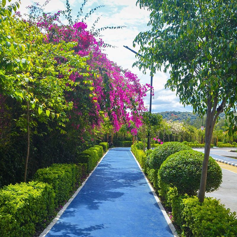 Top 5 Reasons Why Windlass River Valley Is the Perfect Home for Nature Lovers