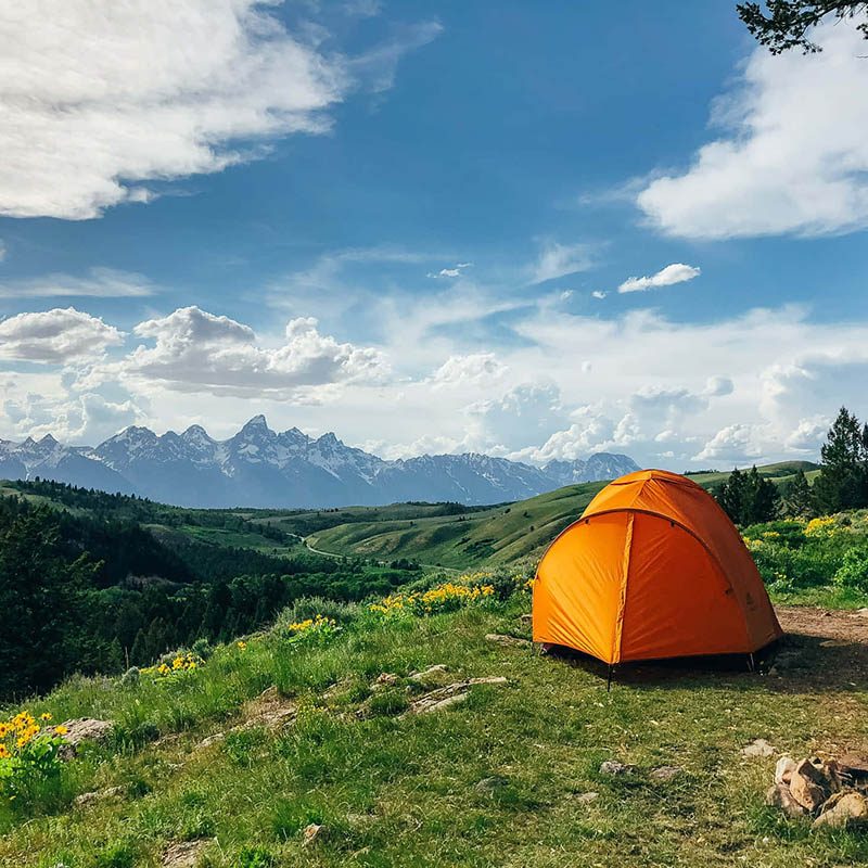 Top 5 Reasons Why Windlass River Valley Is the Perfect Home for Nature Lovers